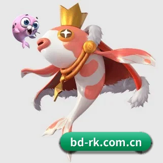 半岛入口 APP